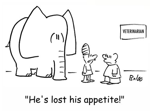 VETERINARIAN, 'He's lost his appetite,'