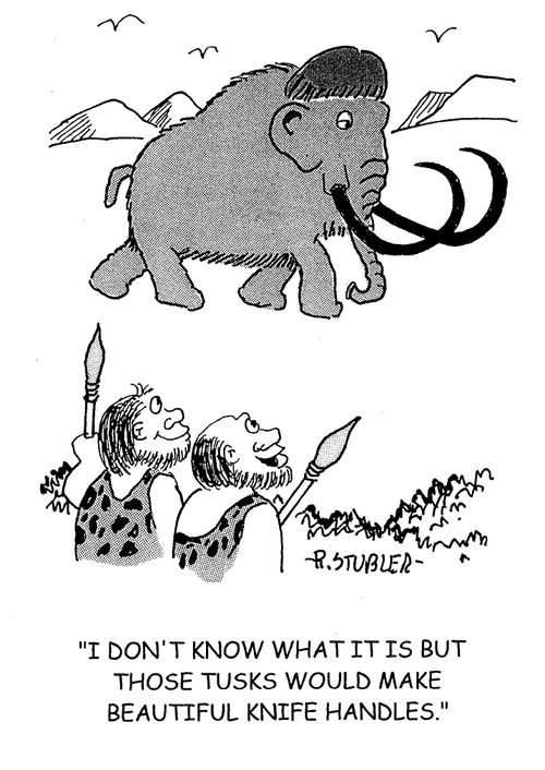 'I don't know what it is but those tusks would make beautiful knife handles.'