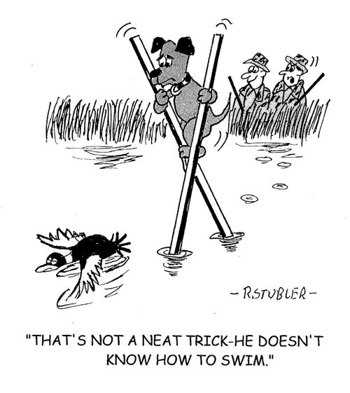 'That's not a neat trick-he doesn't know how to swim.'