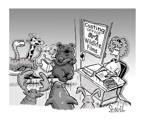 Casting Wildlife Films.