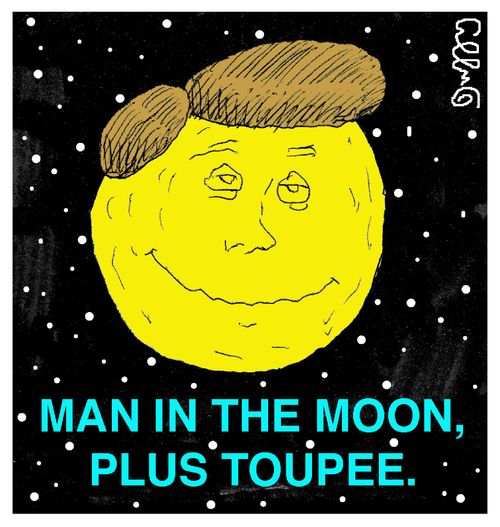 Man in the moon, plus toupee.