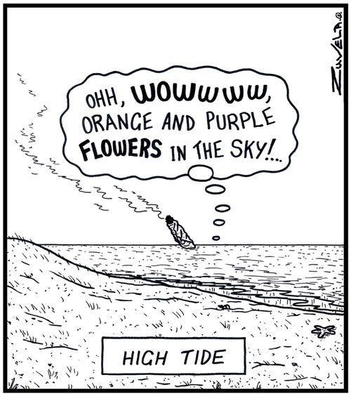 High Tide: 'Ohh,WOWWWW,orange and purple FLOWERS in the sky!...' 