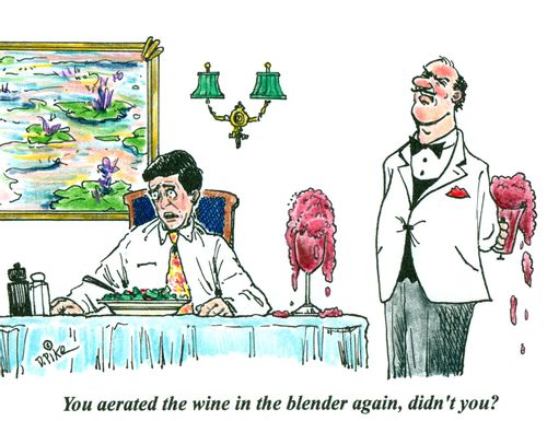 'You aerated the wine in the blender again, didn't you?'