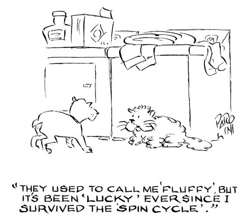 'They used to call me 'Fluffy', but it's been 'Lucky' ever since I survived the spin cycle.'