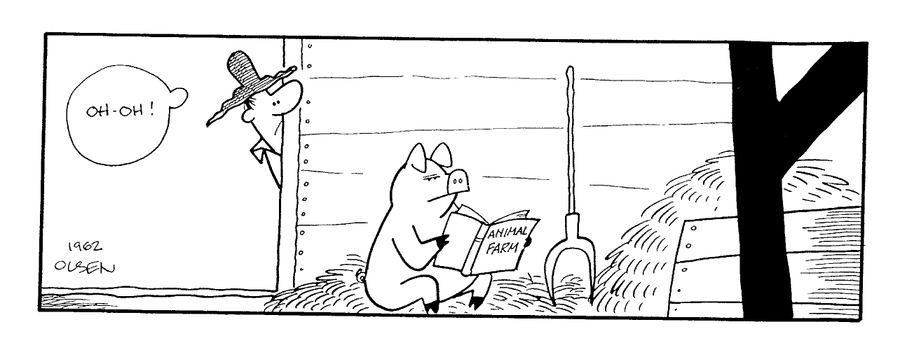 Pig Reading Animal Farm