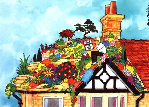 'Roof Gardens the hard way'