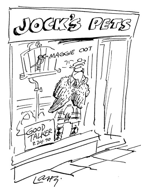 Jock's Pets