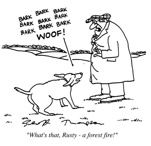 "What's that Rusty - a forest fire !"