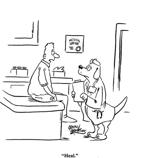 Man says to Doctor Dog: 'Heal.'