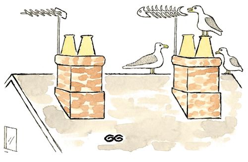 Gulls on rooftop beside a TV aerial resembling a fish skeleton.
