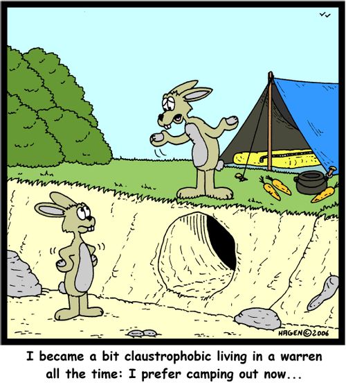 'I became a bit claustrophobic living in a warren all the time: I prefer camping out now...'
