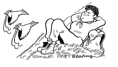 Birds steal sleeping girl's shoelaces.