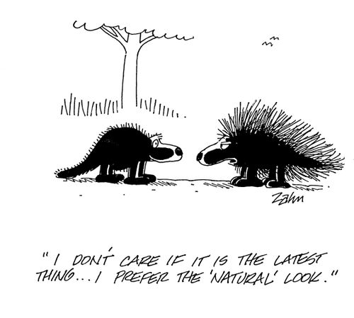 'I don't care if it is the latest thing...I prefer the 'natural' look.'