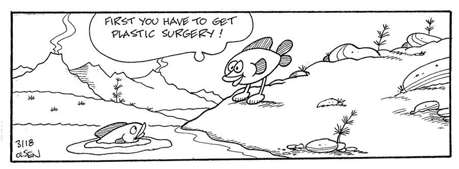 First you have to get plastic sugery