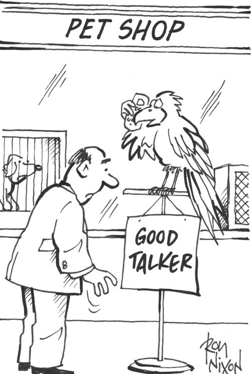 Good Talker.