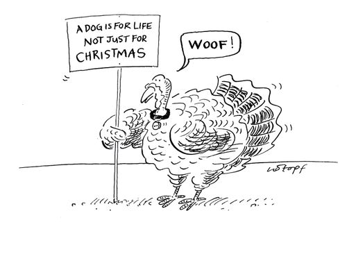 A dog is for life, not just for Christmas.