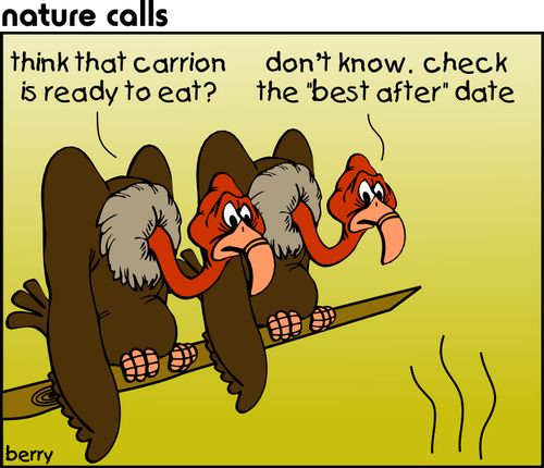 "Think that carrion is ready to eat?"