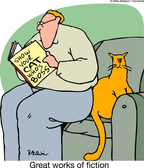 Great works of fiction - show your cat who's boss.