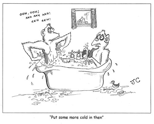 'Put some more cold in then.'