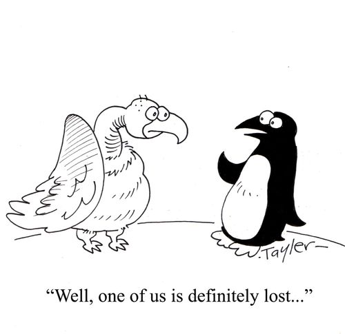 'Well,one of us is definitely lost...'