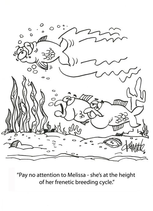 'Pay no attention to Melissa - she's at the height of her frenetic breeding cycle.'