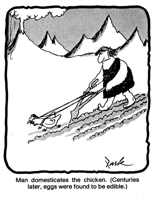 Man domesticates the chicken (centuries later, eggs were found to be edible).