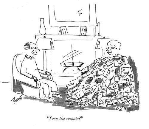 'Seem the remote?'