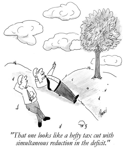 'That one looks like a hefty tax cut with simultaneous reduction in the deficit.'