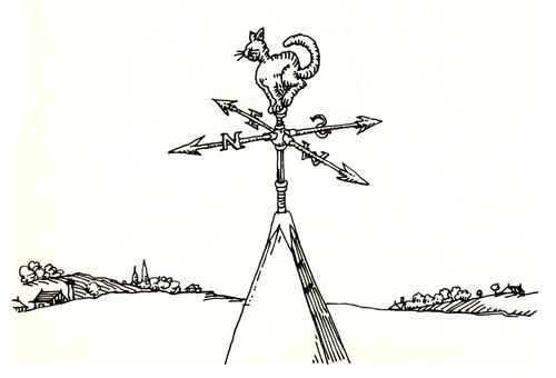 101 uses of a dead cat: wind vane.