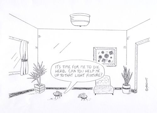 It's time for me to die Herb. Can you help me up to that light fixture?