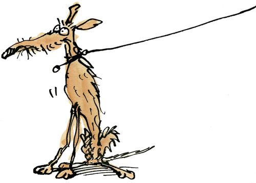 A Skinny Dog