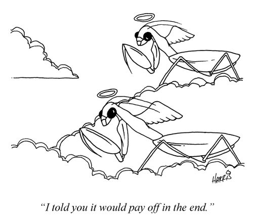 'I told you it would pay off in the end.'