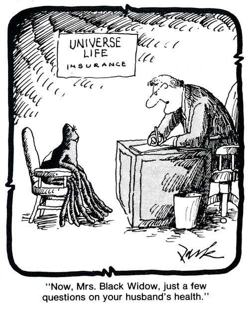 'Now, Mrs. Black Widow, just a few questions on your husband's health.'