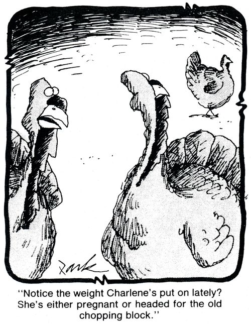 'Notice the weight Charlene's put on lately? She's either pregnant or headed for the old chopping block.'