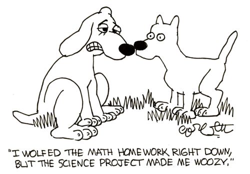 'I wolfed the math homework right down, but the science project made me woozy.'