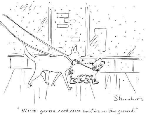 'We're gonna need more booties on the ground.'