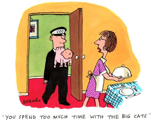'You spend too much time with the big cats.'