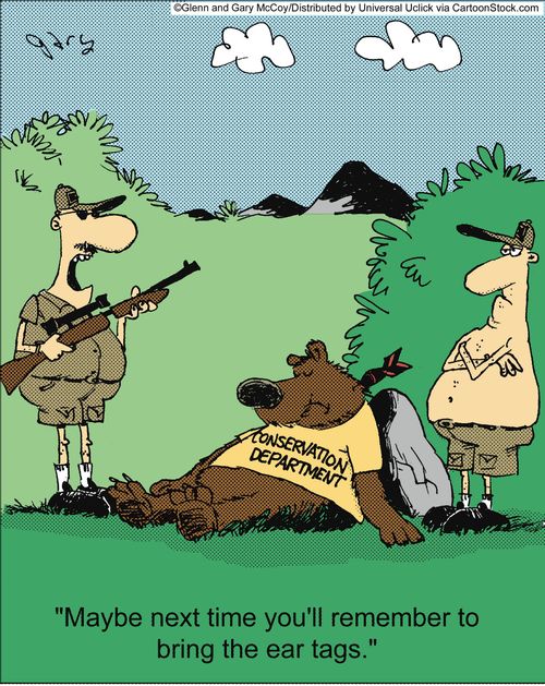 'Maybe next time you'll remember to bring the ear tags.'