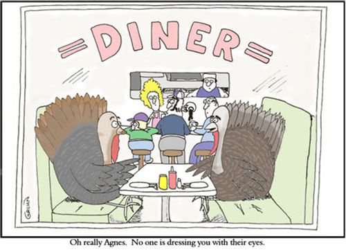 Dressing the Turkey