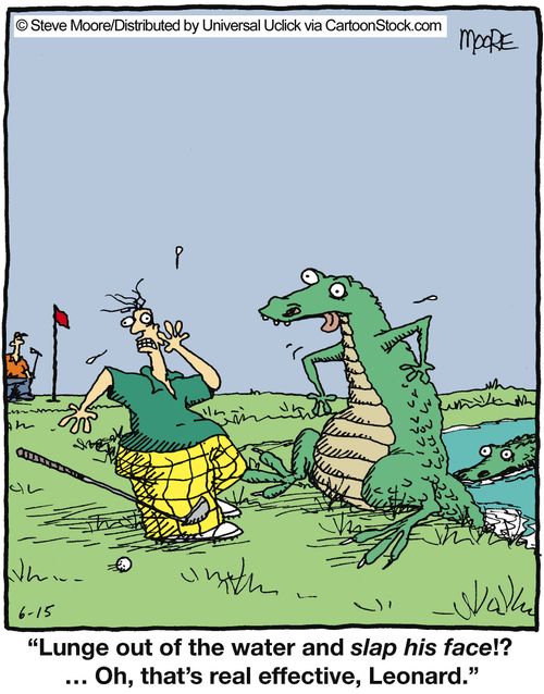 'Lunge out of the water and slap his face!? ... Oh, that's real effective, Leonard.'