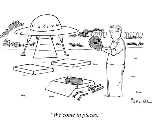 'We come in pieces.'