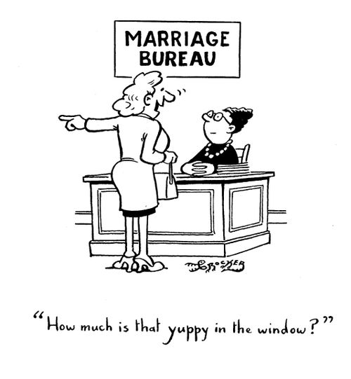 'How much is that yuppy in the window?'