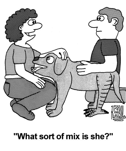 'What sort of mix is she?'