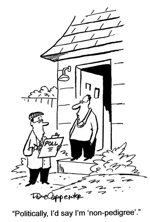 'Politically, I'd say I'm 'non-pedigree'.'