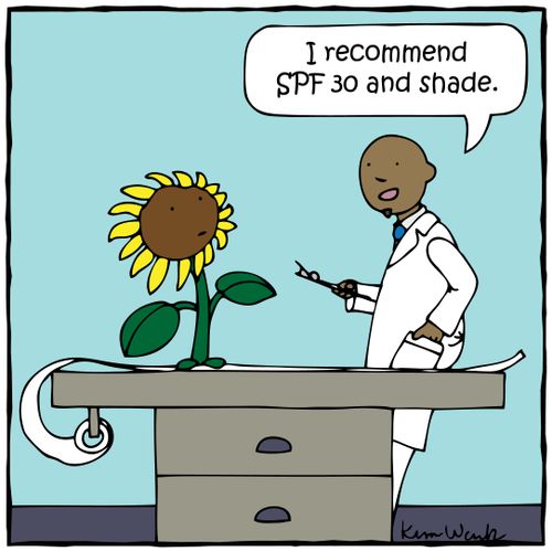 'I recommend SPF 30 and shade.'