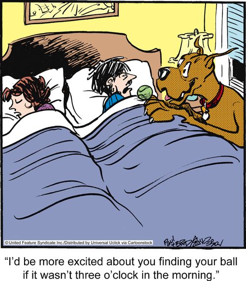 'I'd be more excited about you finding your ball if it wasn't three o'clock in the morning.'