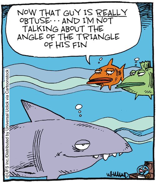 'Now that guy is really obtuse. . . and I'm not talking about the angle of the triangle of his fin.'