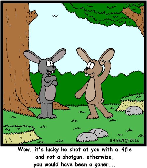 'Wow, it's lucky he shot at you with a rifle and not a shotgun, otherwise, you would have been a goner...'