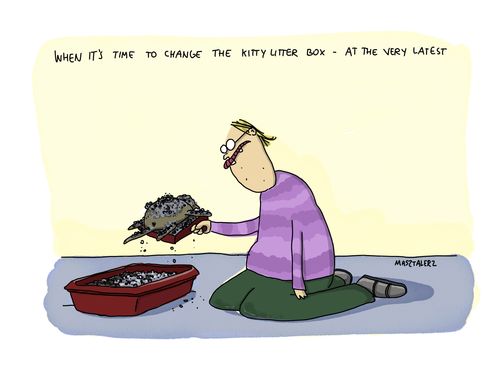 When it's time to change the kitty litter box - at the very latest.