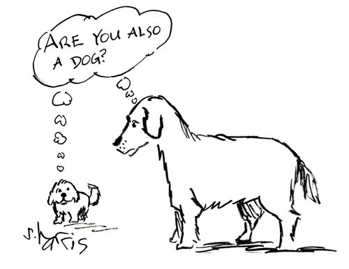 'Are you also a dog?'